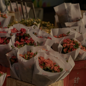 欧美zozozo人禽交
