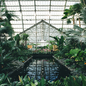 欧美zozozo人禽交
